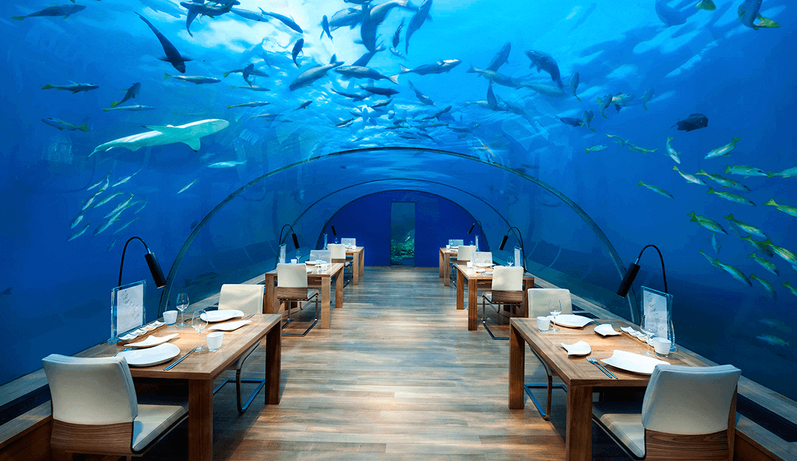 restaurante subaquatico Ithaa ilhas maldivas
